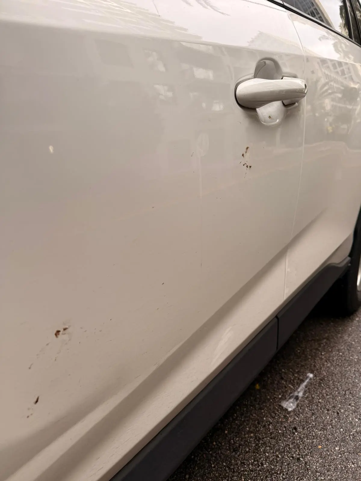 Before and after professional hand wash detail on Toyota RAV4 in Fort Lauderdale — clean finish by Route95 Mobile Car Detailing